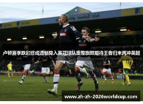 卢顿赛季跌宕终成遗憾降入英冠球队重整旗鼓期待王者归来再冲英超