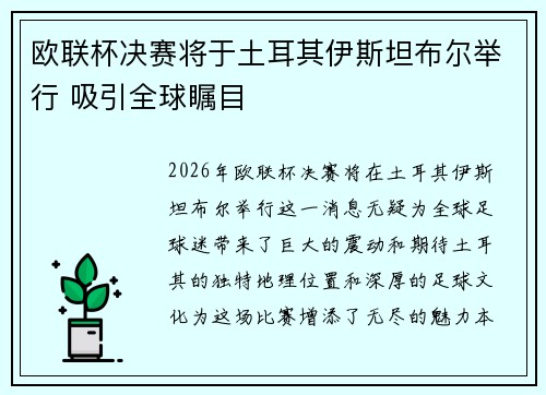 欧联杯决赛将于土耳其伊斯坦布尔举行 吸引全球瞩目 欧联杯决赛将于土耳其伊斯坦布尔举行 吸引全球瞩目